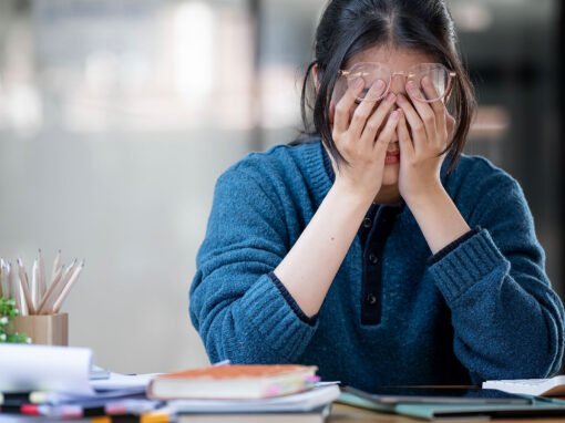 Ley Karin y Prevención de la Violencia y Acoso Laboral en Espacios de Trabajo: Derechos, Deberes y Cultura Organizacional