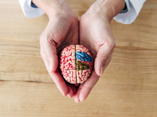 Neurocognición y Tecnologías para el Aprendizaje y el Conocimiento