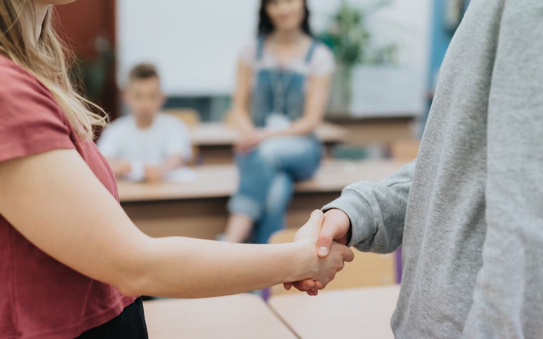 Convivencia y mediación escolar